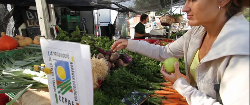 Weekly Market Empuriabrava