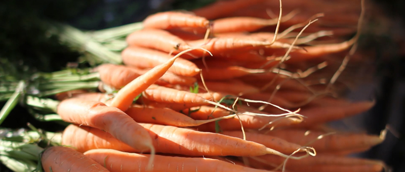 Marché hebdomadaire Empuriabrava