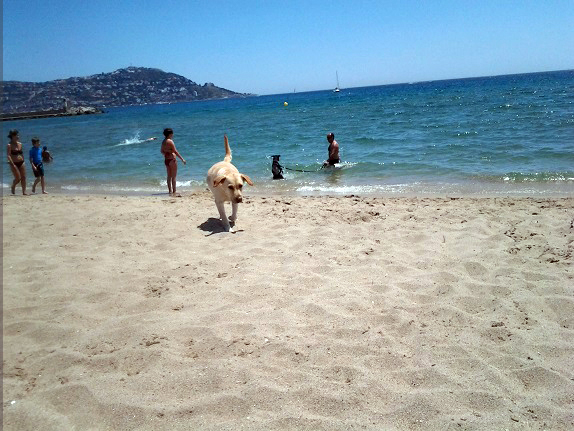 The beach of Rubina in Empuriabrava